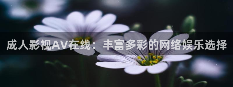 下载悟空视频大全