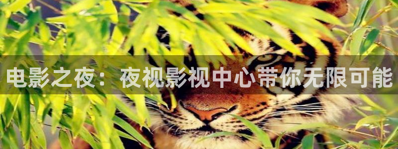 悟空视频