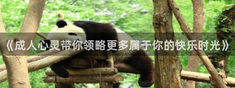 悟空播放在线播放