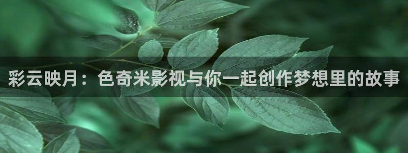 悟空电影网免费高清在线观看视频