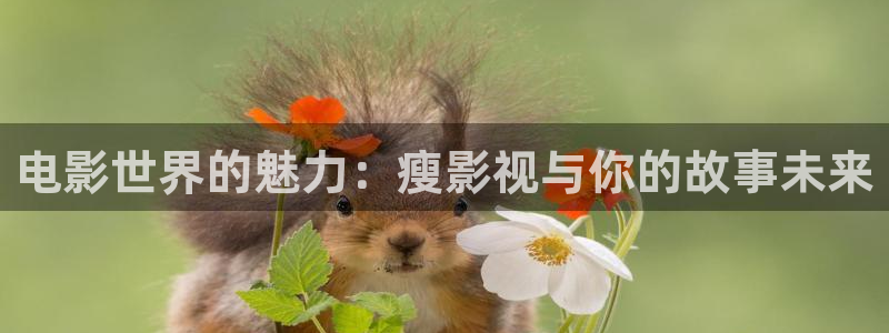 悟空在线观看免费高清电影电视剧