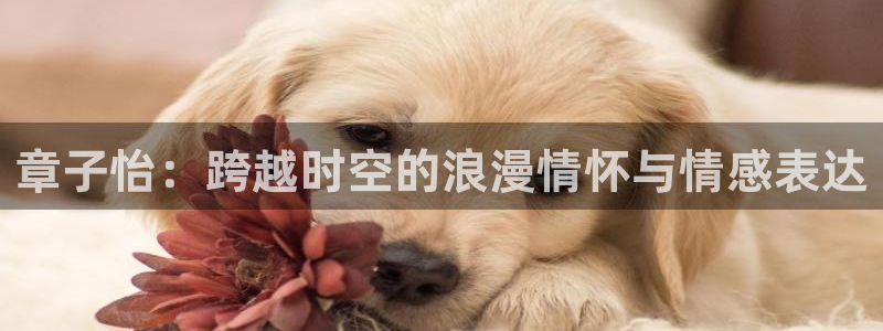 悟空影视大全免费观看视频最新版