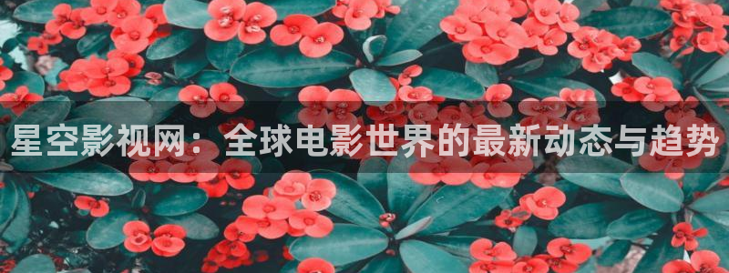 悟空视频app下载新版