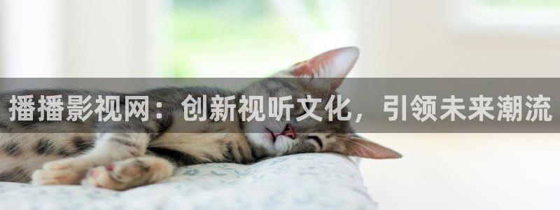 悟空视频大全app