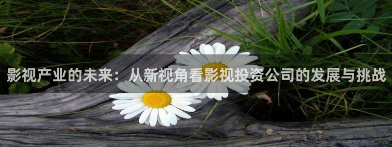 悟空的视频：影视产业的未来：从新视角看影视投资公司的发展与挑战