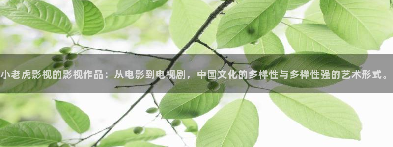 悟空电视剧免费观看