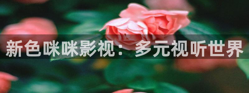 孙悟空墓完整视频