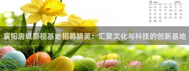 悟空电影天堂完整免费看