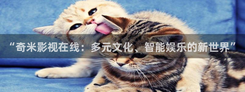悟空免费短视频