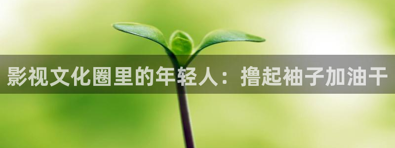 悟空电影免费高清观看
